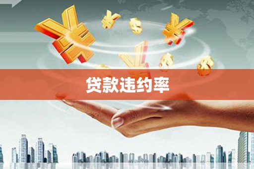 天津贷款违约率