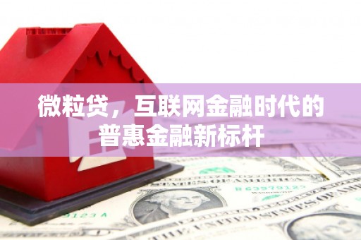 天津微粒贷，互联网金融时代的普惠金融新标杆