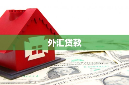 天津外汇贷款