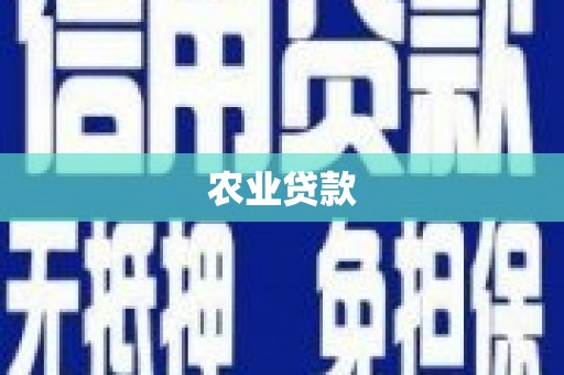 天津农业贷款