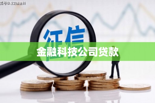 天津金融科技公司贷款