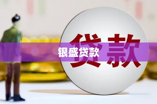 天津银盛贷款