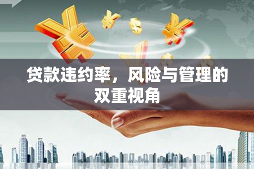 天津贷款违约率，风险与管理的双重视角