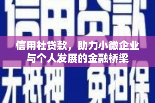 天津信用社贷款，助力小微企业与个人发展的金融桥梁