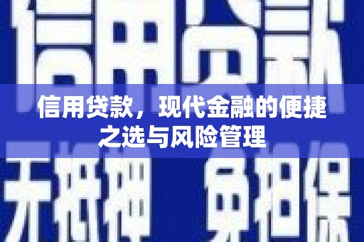 天津信用贷款，现代金融的便捷之选与风险管理