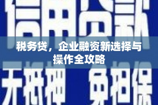 天津税务贷，企业融资新选择与操作全攻略