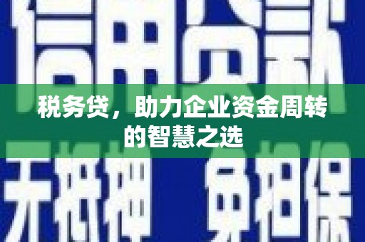 天津税务贷，助力企业资金周转的智慧之选