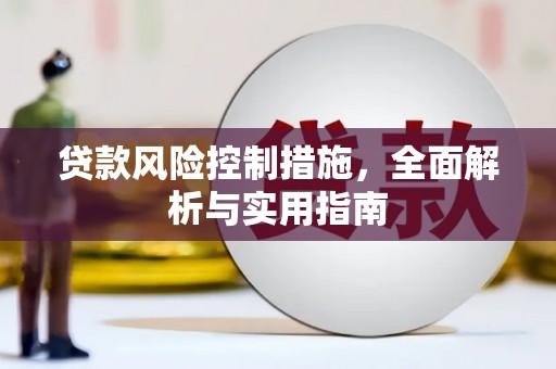 天津贷款风险控制措施，全面解析与实用指南