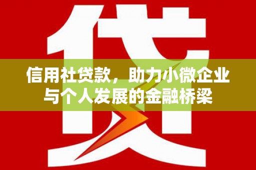 天津信用社贷款，助力小微企业与个人发展的金融桥梁