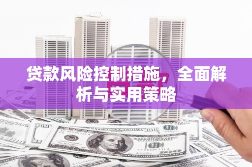 天津贷款风险控制措施，全面解析与实用策略