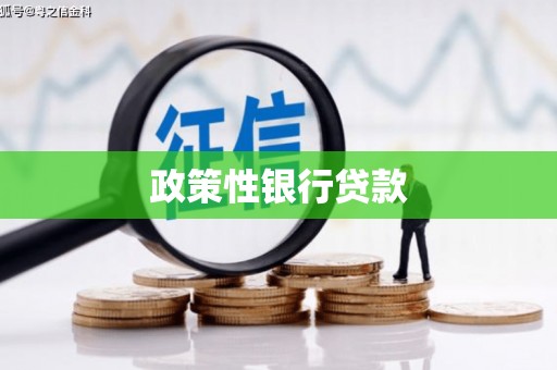 天津政策性银行贷款