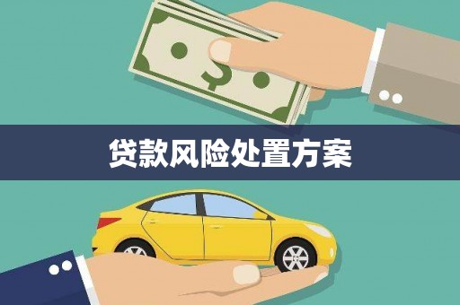 天津贷款风险处置方案