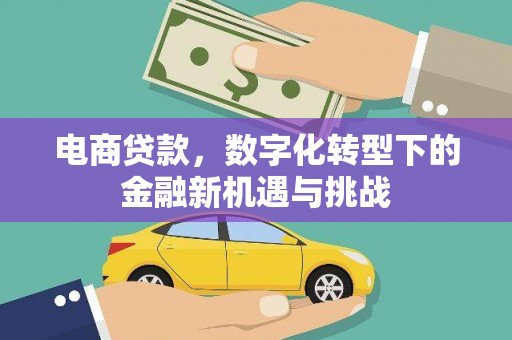 天津电商贷款，数字化转型下的金融新机遇与挑战