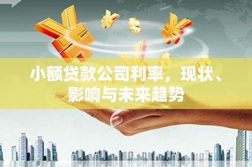 天津小额贷款公司利率，现状、影响与未来趋势