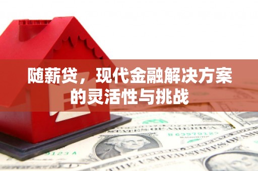 天津随薪贷，现代金融解决方案的灵活性与挑战