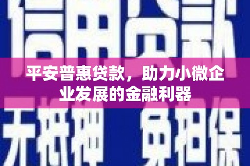天津平安普惠贷款，助力小微企业发展的金融利器