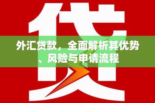 天津外汇贷款，全面解析其优势、风险与申请流程