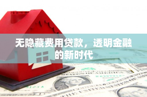 天津无隐藏费用贷款，透明金融的新时代