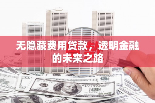 天津无隐藏费用贷款，透明金融的未来之路
