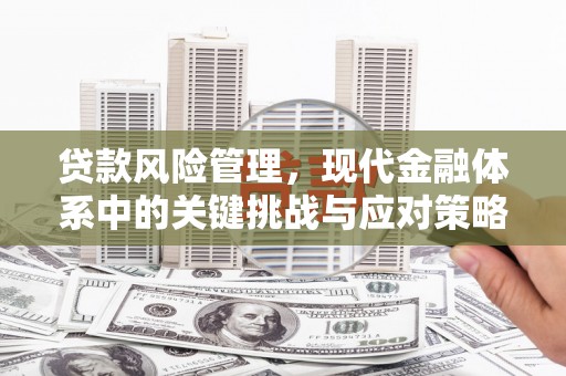 天津贷款风险管理，现代金融体系中的关键挑战与应对策略