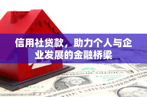 天津信用社贷款，助力个人与企业发展的金融桥梁