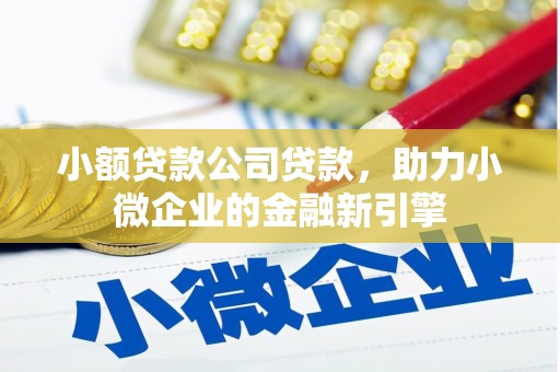 天津小额贷款公司贷款，助力小微企业的金融新引擎