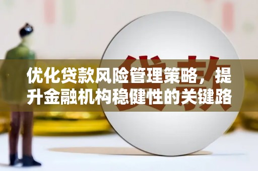 天津优化贷款风险管理策略，提升金融机构稳健性的关键路径