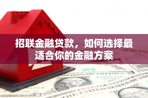 天津招联金融贷款，如何选择最适合你的金融方案