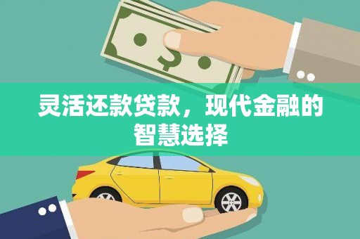 天津灵活还款贷款，现代金融的智慧选择