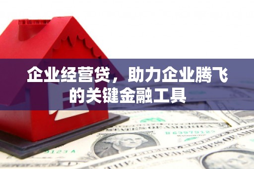 天津企业经营贷，助力企业腾飞的关键金融工具