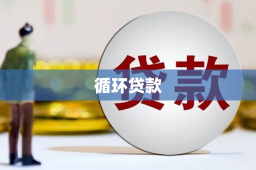 天津循环贷款