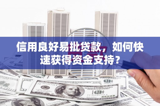 天津信用良好易批贷款，如何快速获得资金支持？