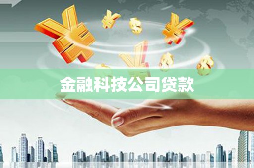 天津金融科技公司贷款