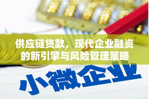 天津供应链贷款，现代企业融资的新引擎与风险管理策略