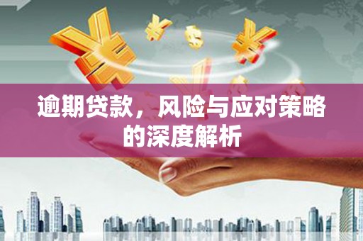 天津逾期贷款，风险与应对策略的深度解析