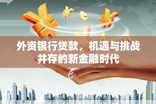 天津外资银行贷款，机遇与挑战并存的新金融时代