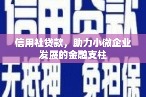 天津信用社贷款，助力小微企业发展的金融支柱