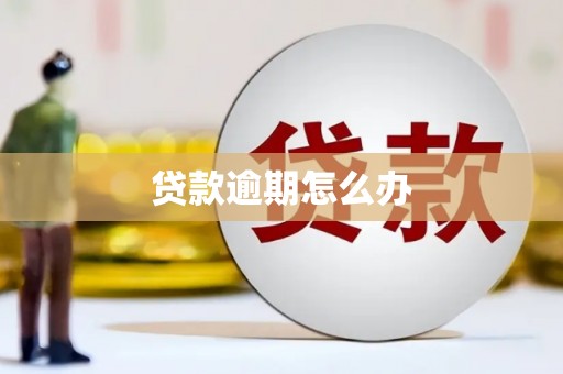 天津贷款逾期怎么办