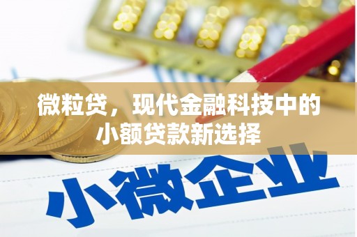 天津微粒贷，现代金融科技中的小额贷款新选择