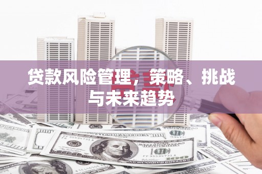 天津贷款风险管理，策略、挑战与未来趋势