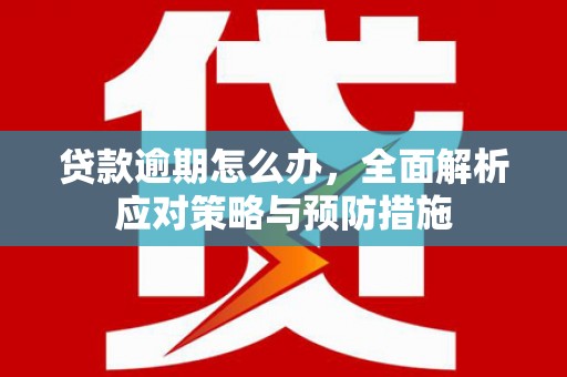 天津贷款逾期怎么办，全面解析应对策略与预防措施
