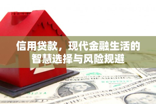 天津信用贷款，现代金融生活的智慧选择与风险规避