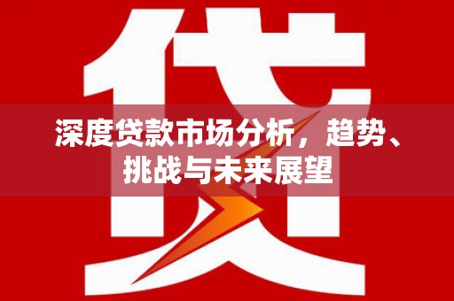 天津深度贷款市场分析，趋势、挑战与未来展望