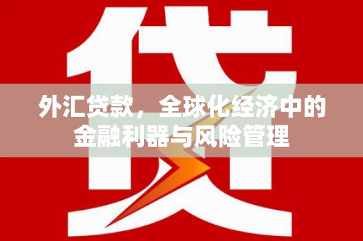 天津外汇贷款，全球化经济中的金融利器与风险管理