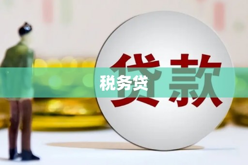 天津税务贷