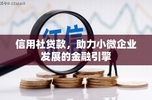 天津信用社贷款，助力小微企业发展的金融引擎