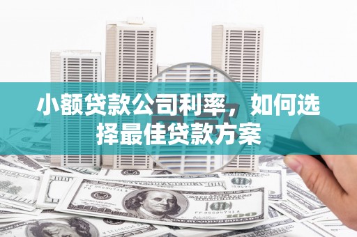天津小额贷款公司利率，如何选择最佳贷款方案
