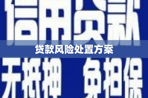 天津贷款风险处置方案