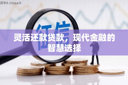 天津灵活还款贷款，现代金融的智慧选择