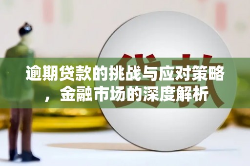 天津逾期贷款的挑战与应对策略，金融市场的深度解析